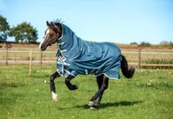 Horseware Amigo AmE 12 Plus Turnout Lite