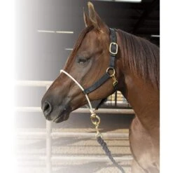 Professionals Choice Rope Nose Nylon Halter