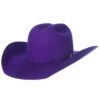 Rodeo King 7X Purple Self Band 4 1/4in. Brim Open Crown Felt Cowboy Hat -Western Denim Gear Store 139736 default l