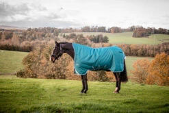 Horseware Ireland Amigo Bravo 12 Wug Lite 0g