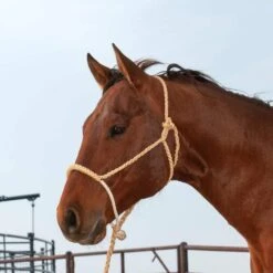 Martin Saddlery Rope Nose Halter With Lead 12 Martin Saddlery Rope Nose Halter With Lead -Western Denim Gear Store 186648 538009