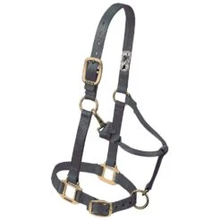 Weaver Leather Small Horse Adjustable Chin And Throat Snap Triple-Ply Nylon Halter -Western Denim Gear Store 214152 662295