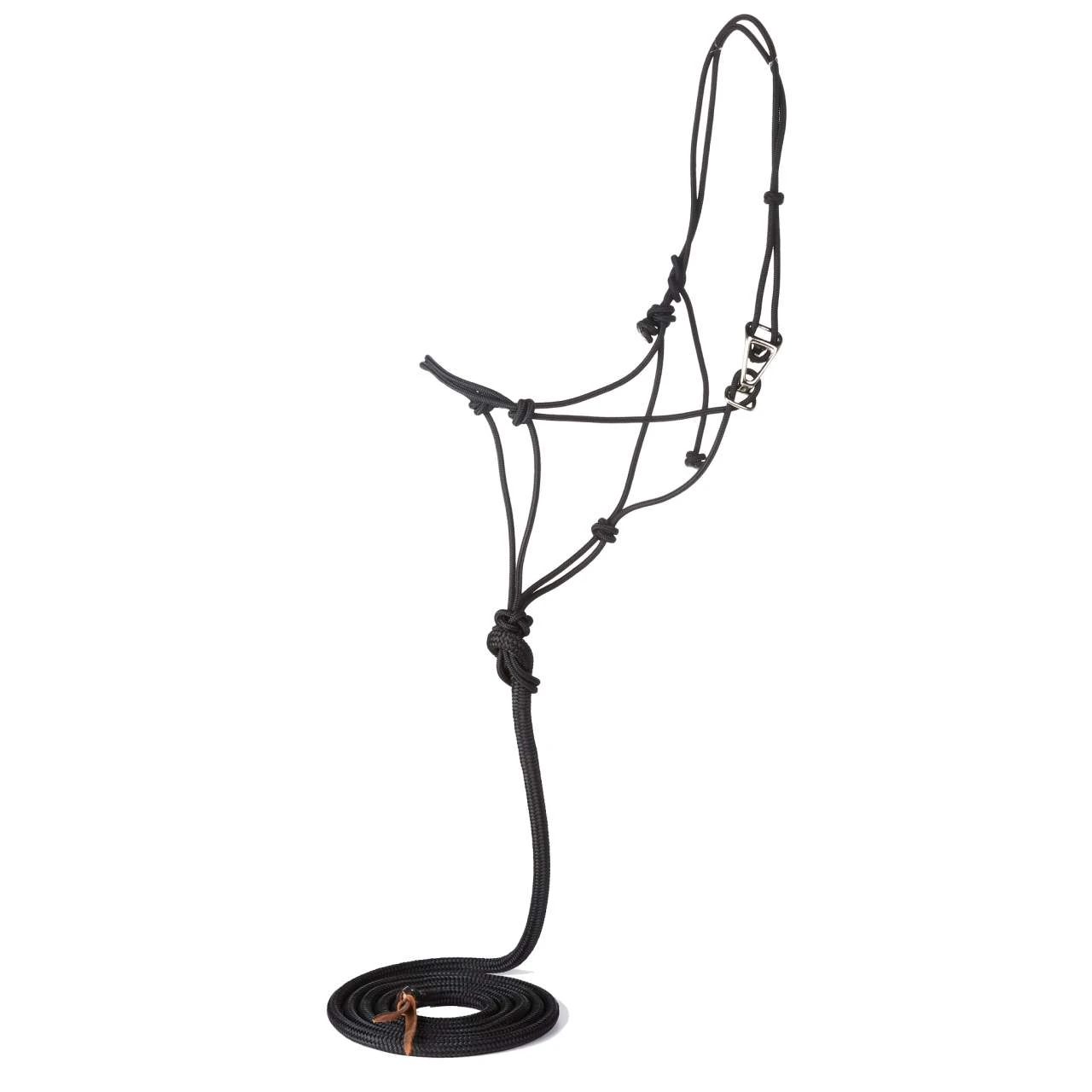 Classic Black Premium Quick Change Halter With 9ft Lead 3 Classic Black Premium Quick Change Halter With 9ft Lead