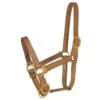 Professionals Choice 1in Average Horse Harness Leather Turn Out Halter -Western Denim Gear Store 228204 724942