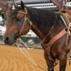 Nrs Tack Oiled Harness Leather Roping Rein German Martingale -Western Denim Gear Store 38363 default l