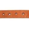 Professionals Choice Mens Sagebrush Spur Straps HL -Western Denim Gear Store 51ISuS1g7NL