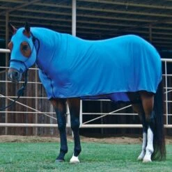 Sleazy Sleepwear For Horses Full Body Sleazy -Western Denim Gear Store 8942 324817
