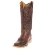Women's Cactooled Brown Cowgirl Boots -Western Denim Gear Store 98286 default l 9a907d15 21c9 41ca adee f63991a23431