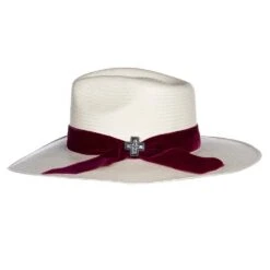 Charlie 1 Horse 10X Truth 3 1/2in. Brim Straw Fashion Hat -Western Denim Gear Store CSTRTH 343481 2