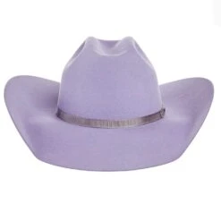 Rodeo King 7X Lilac Grey Ribbon Band 4in. Brim Felt Cowboy Hat 9 Rodeo King 7X Lilac Grey Ribbon Band 4in. Brim Felt Cowboy Hat -Western Denim Gear Store RK321 4